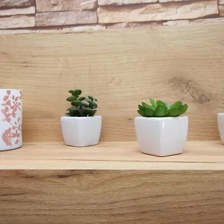 Laki * ズラティボール