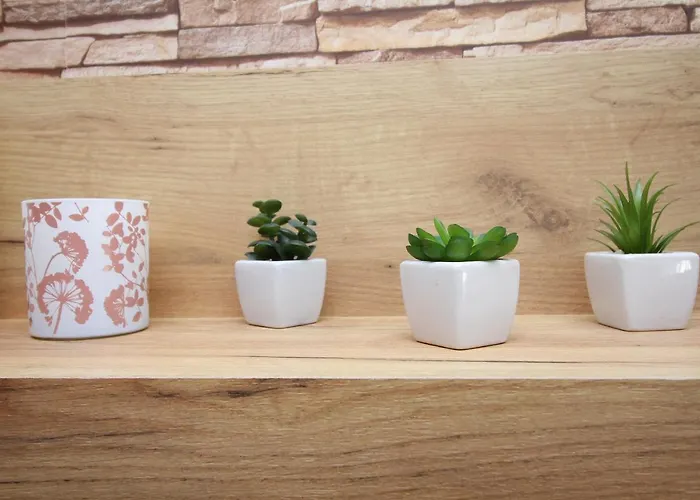 Laki * 兹拉蒂博尔