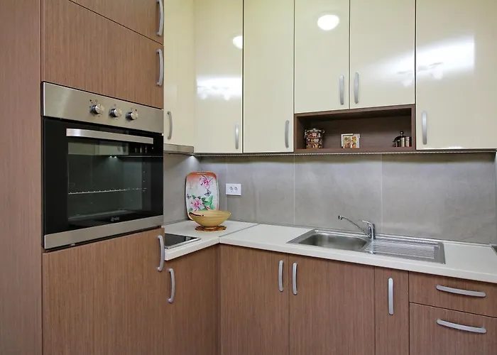 公寓 Laki 兹拉蒂博尔